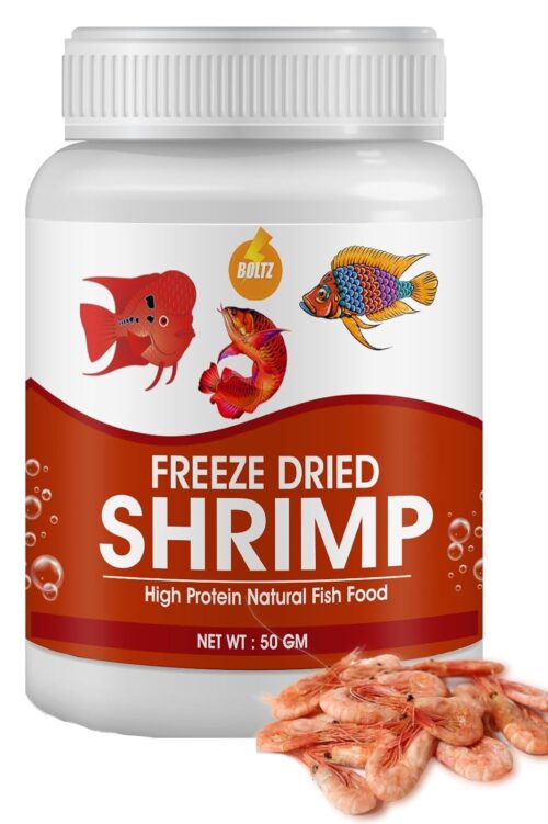 Freeze Dried Food