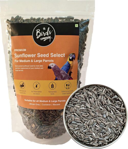 sunflower seeds for birds