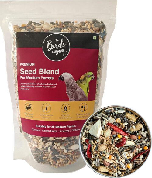 bird seed food