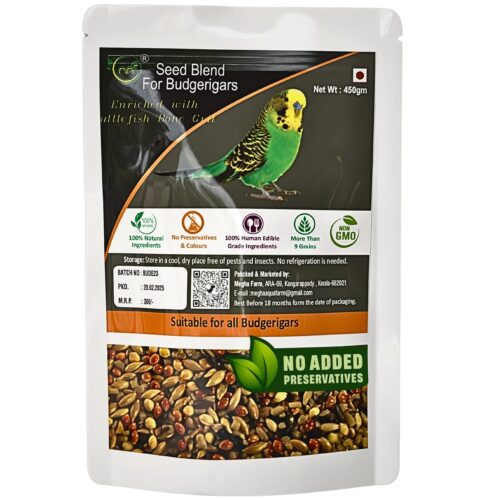Hummingbird bird food