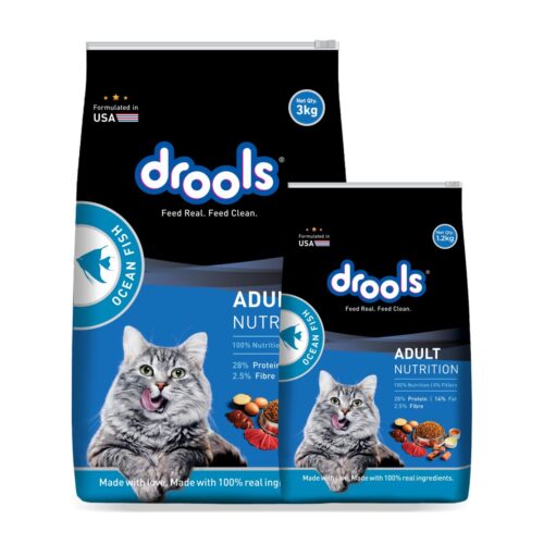 healthy cat dry food