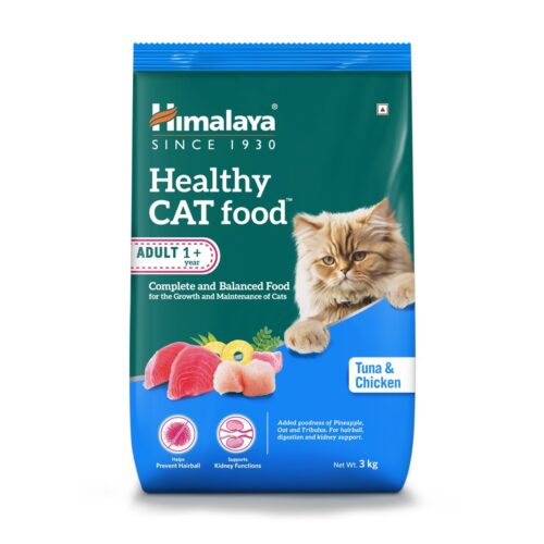 kitten dry food