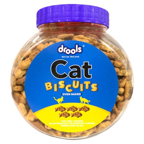 chewy cat food