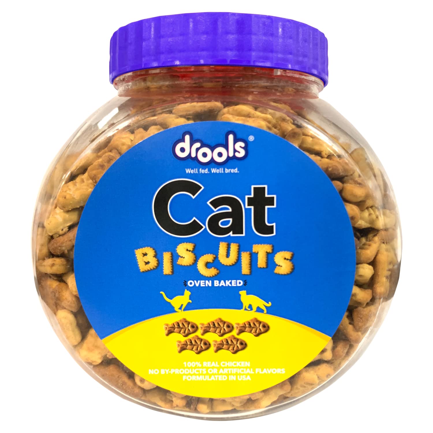 chewy cat food