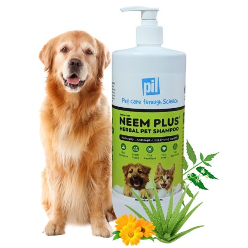 natural dog shampoo
