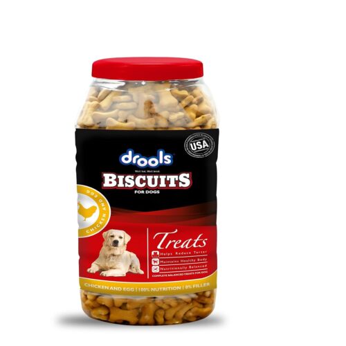 healthy dog treats