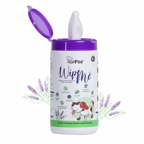 dog wet wipes