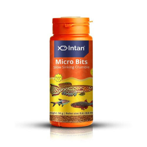 fish food for fish