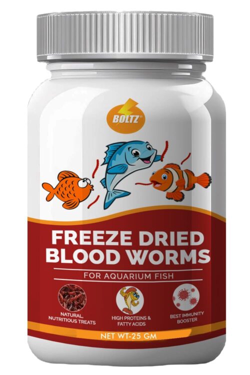 freeze dried bloodworms