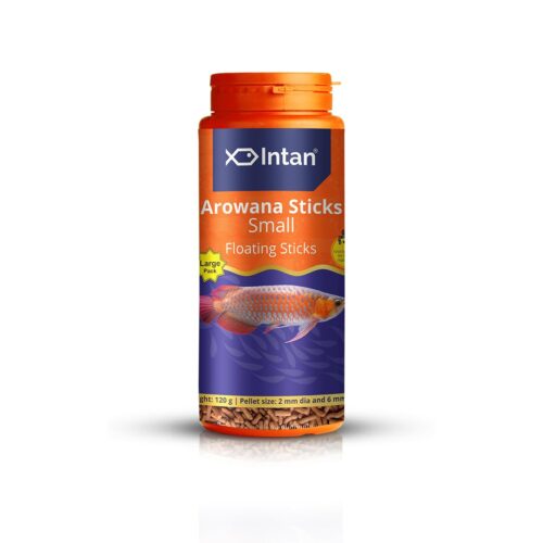 arowana fish food
