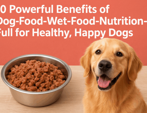 Benefits of Dog Food Wet Food Nutrition Full for Healthy, Happy Dogs